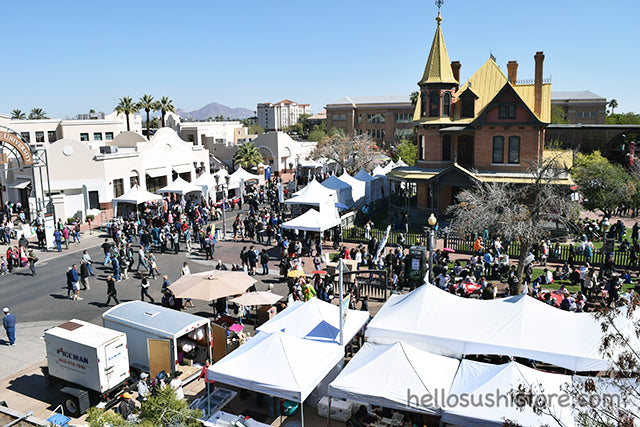 AZ Matsuri 2018