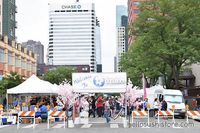 Denver Cherry Blossom Festival 2017